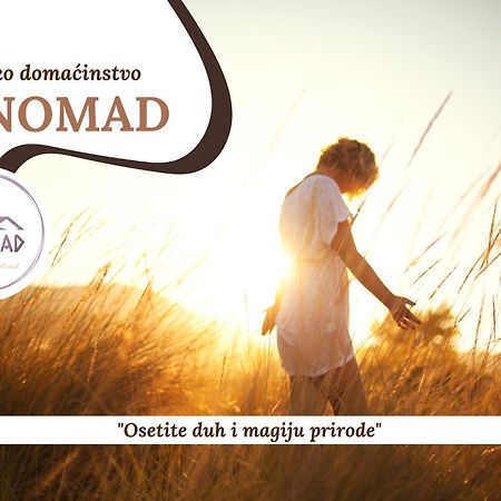 Onomad Apartment Boljevac Luaran gambar